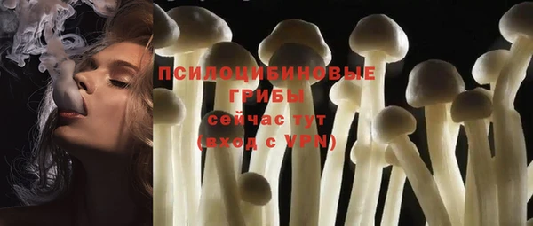 дурь Абаза