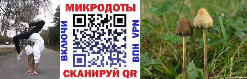 Галлюциногенные грибы прущие грибы  Урюпинск 
